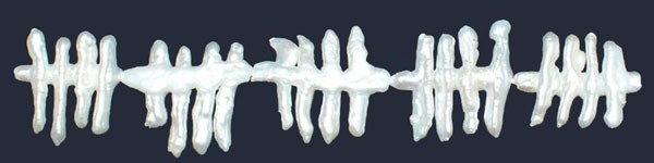 Perla espina pez color blanca