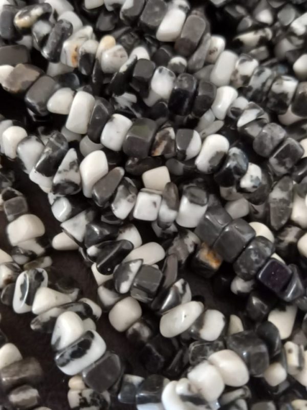 ESCALLA JASPE DALMATA